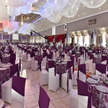 Jimmy Jip Kamera Çekimi